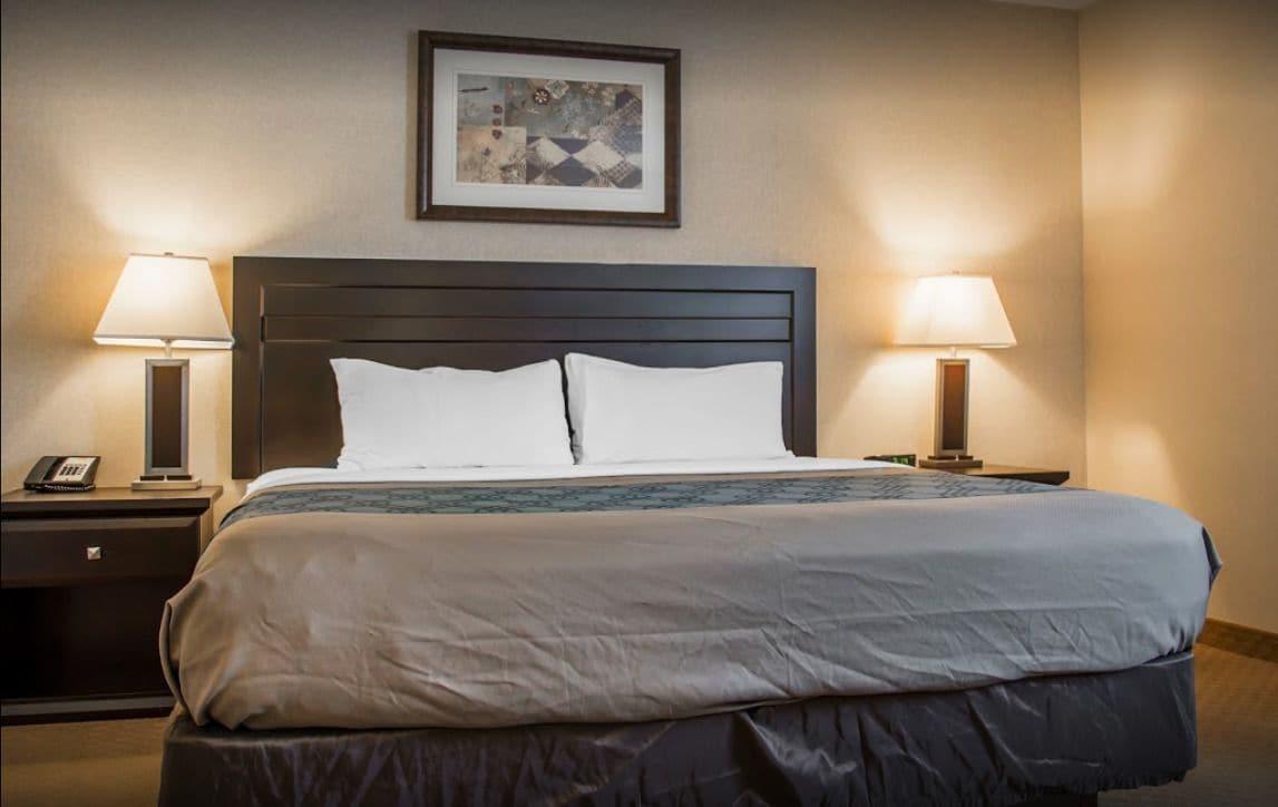 New Lodge Winnipeg Bagian luar foto