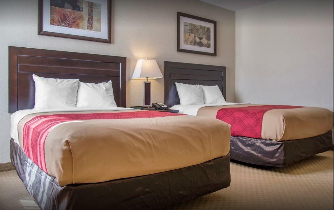 New Lodge Winnipeg Bagian luar foto