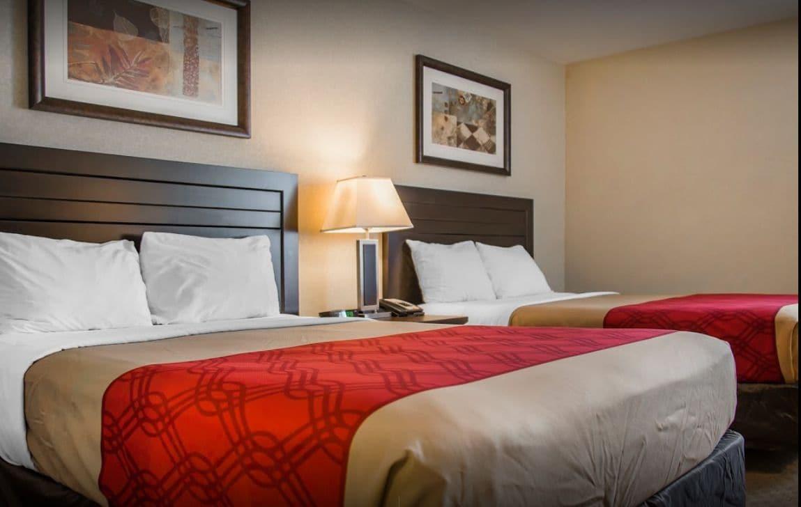 New Lodge Winnipeg Bagian luar foto
